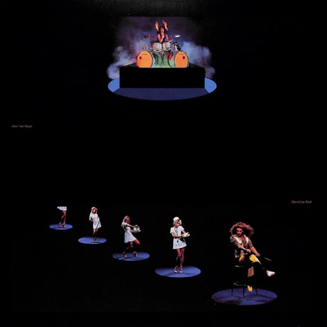 ヴァン・ヘイレン / 伝説の爆撃機 [※国内盤,品番:P-10641W］ (LPレコード)