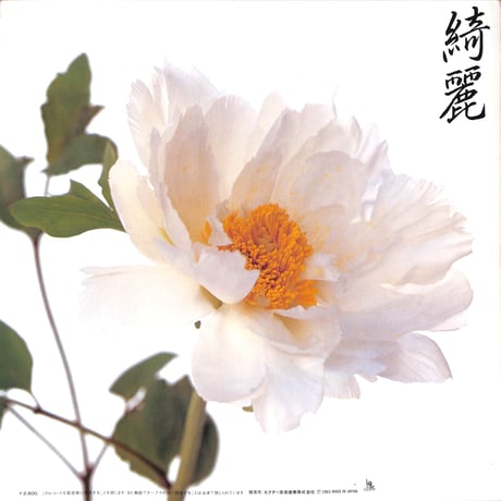 サザンオールスターズ / 綺麗 [※国内盤,品番:VIH-28132］(LPレコード)