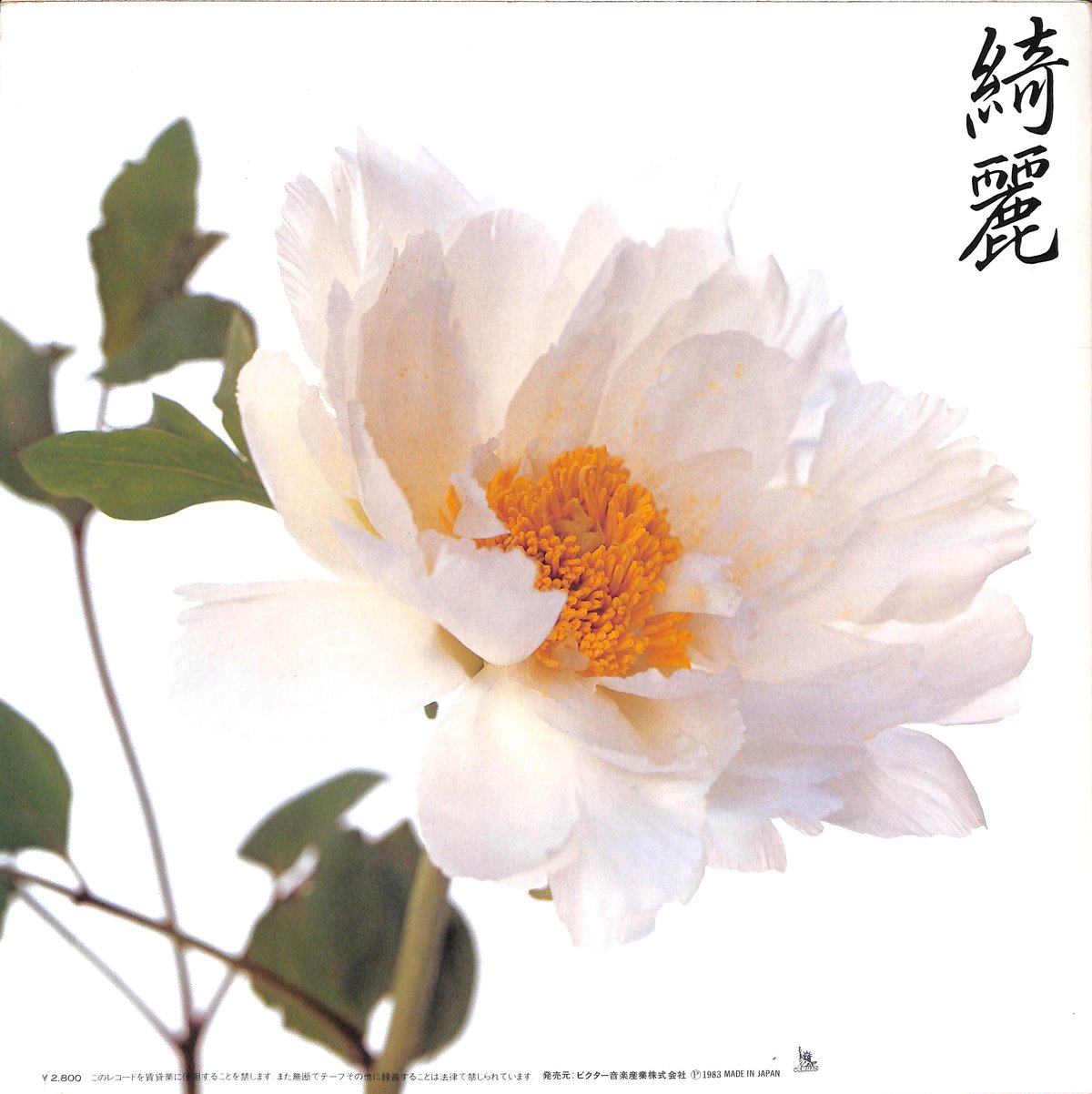 サザンオールスターズ / 綺麗 [※国内盤,品番:VIH-28132］(LPレコード