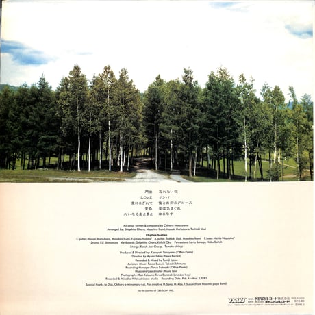 松山千春 / 大いなる愛よ夢よ [※国内盤,品番:N28N0010］ (LPレコード)