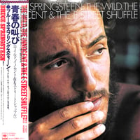 TUBE / The Season In The Sun（LPレコード） | Books Ch