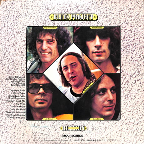 ブルース・プロジェクト / イン・セントラル・パーク [※国内盤,品番:MCA-9240~41,2枚組］(LPレコード)