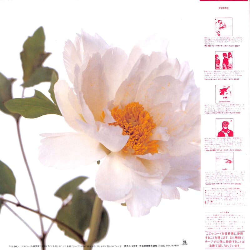 LPレコード　サザンオールスターズ　綺麗　国内盤　桑田佳祐 綺麗｜サザンオールスターズ Official Site