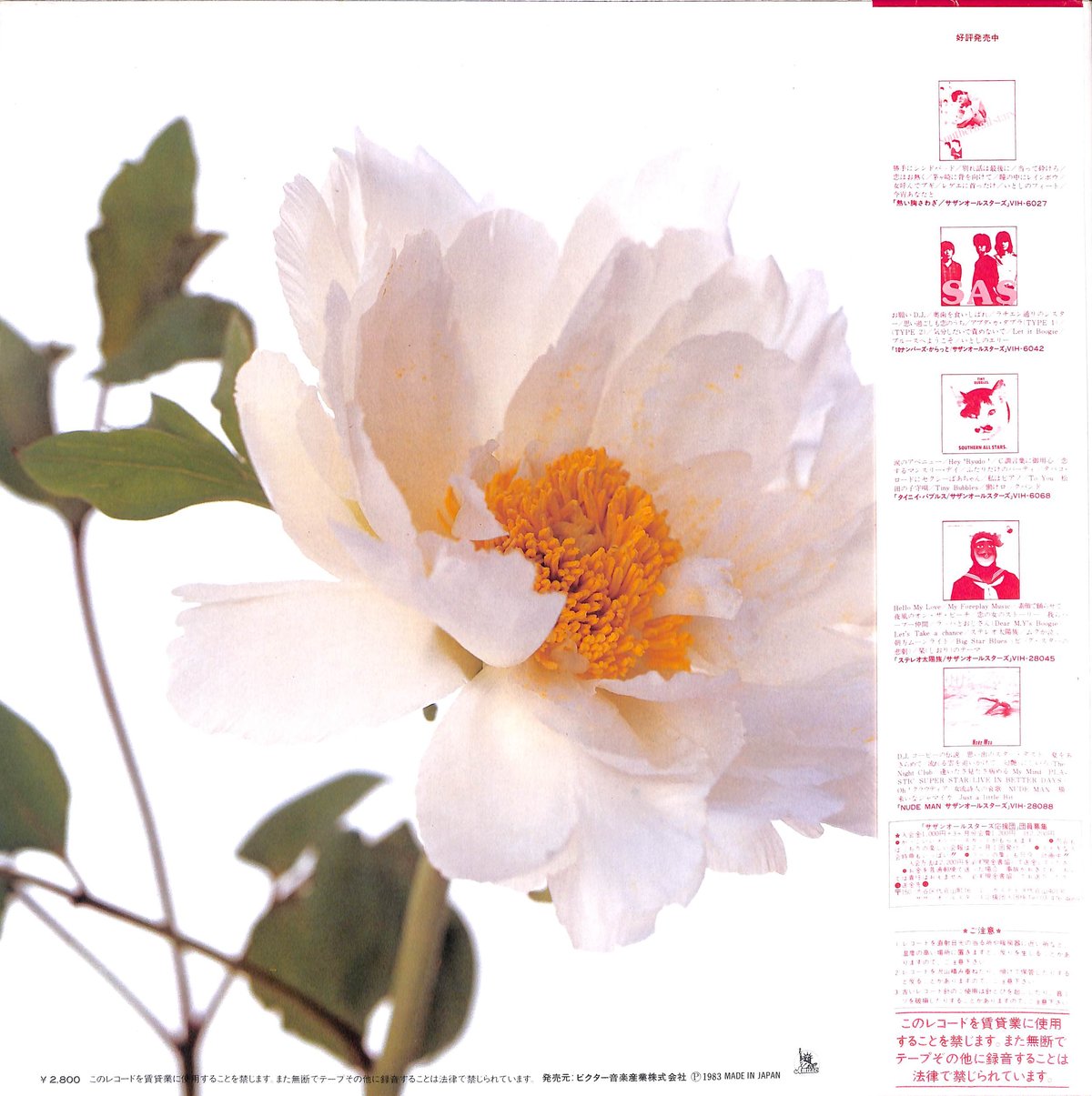 サザンオールスターズ / 綺麗 [※国内盤,品番:VIH-28132］(LPレコード
