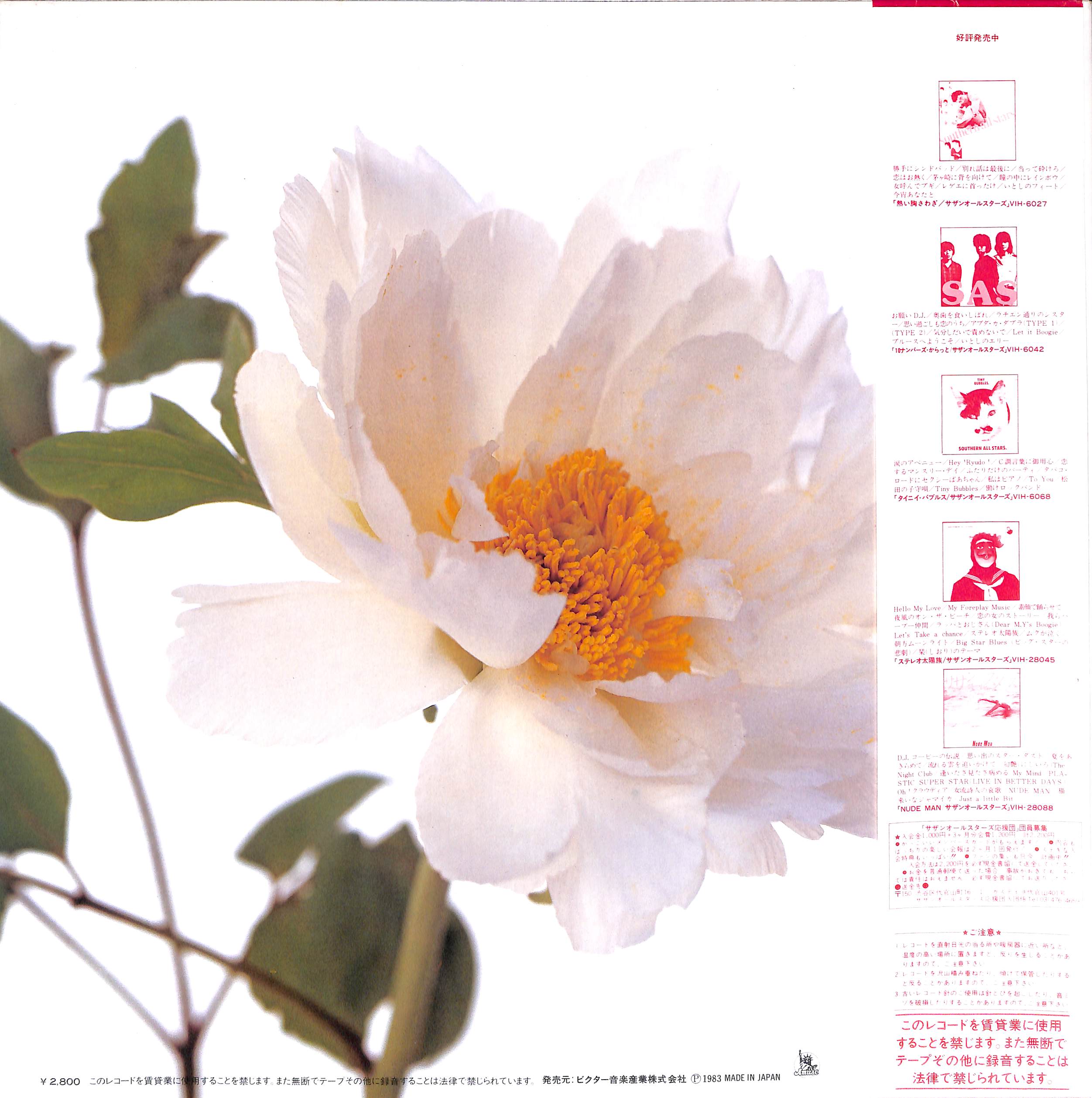 サザンオールスターズ / 綺麗 [※国内盤,品番:VIH-28132］(LPレコード