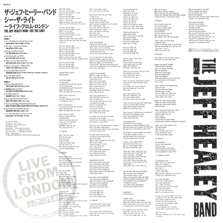ジェフ・ヒーリー・バンド / See the Light[発売年:1990年][※品番:BVLP-9](Laser Disc)