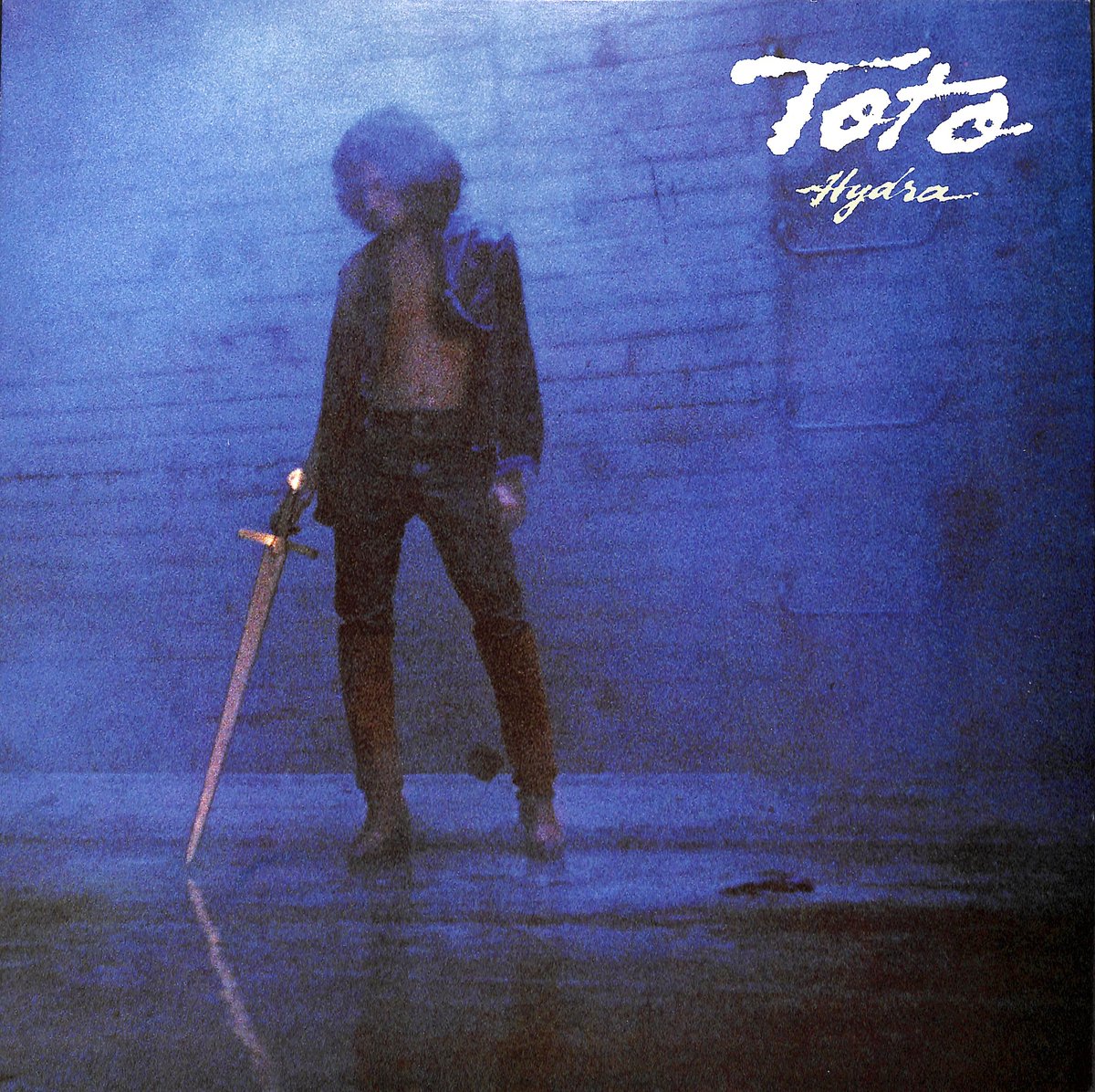TOTO / ハイドラ [※国内盤,品番:25AP 1700］(LPレコード) | Books