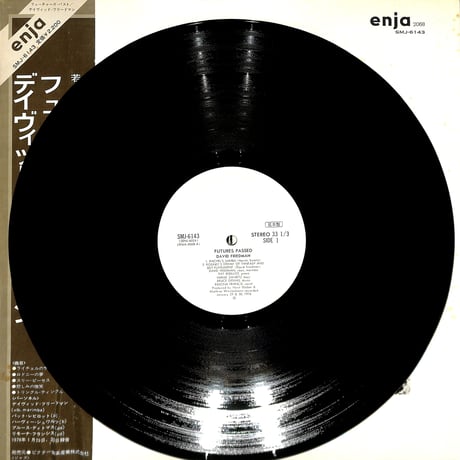 デイヴィッド・フリードマン / フューチャーズ・パスト（白ラベル）（LPレコード）