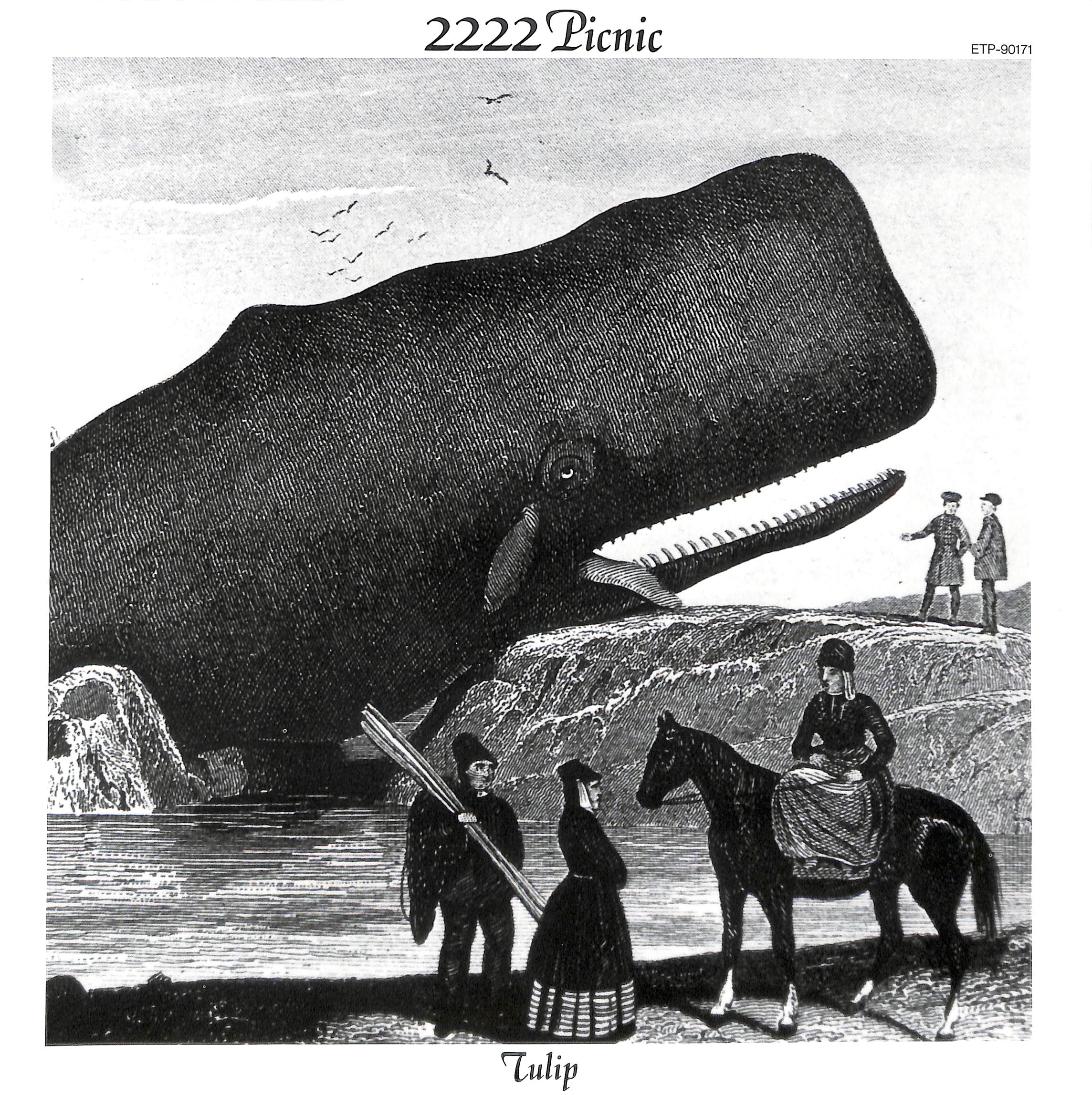 チューリップ / 2222年ピクニック [※国内盤,品番:ETP-90171］(LP