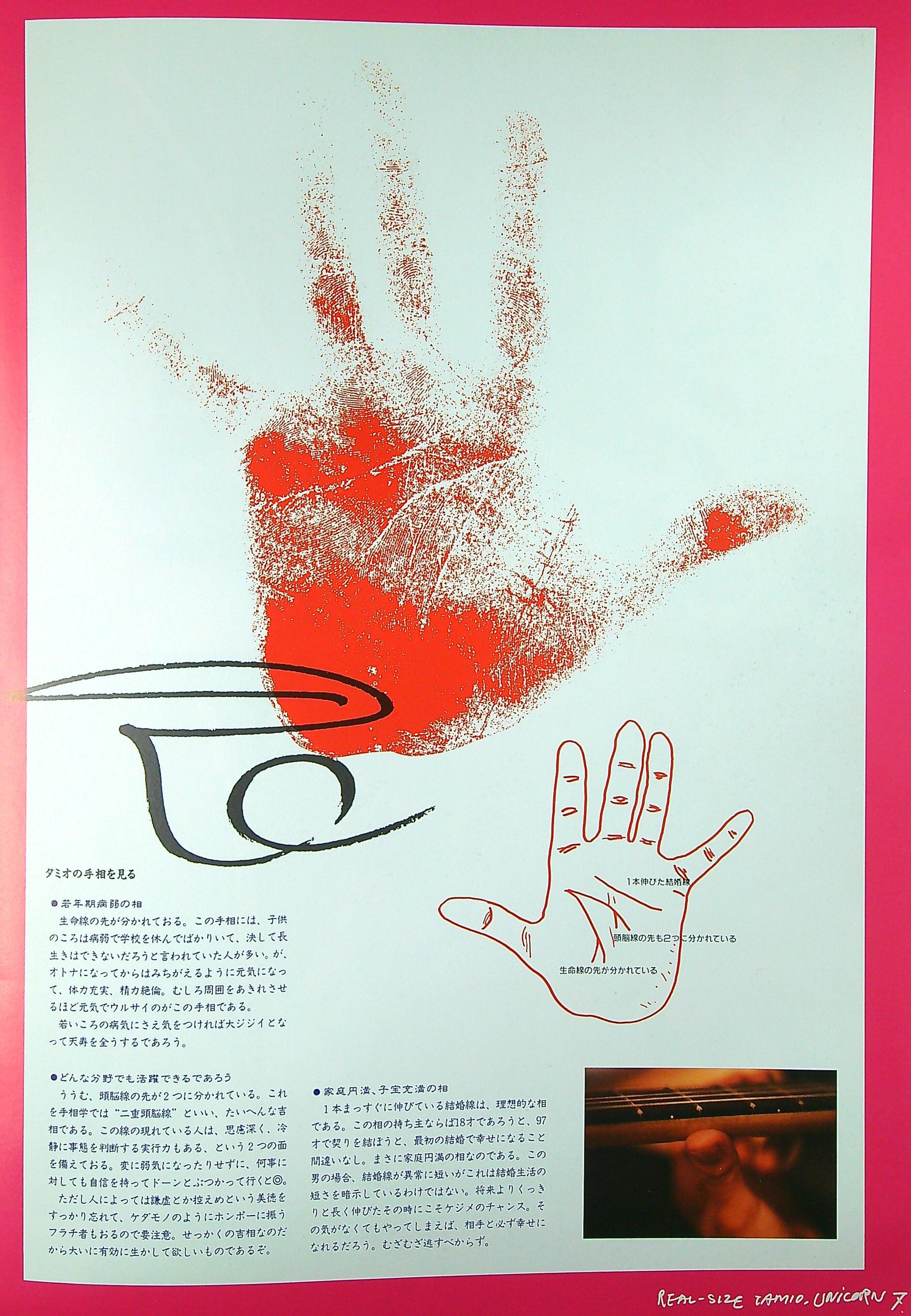 UNICORN / 嵐のケダモノツアー 1990 - 1991 GAMEBOOK3 (コンサ