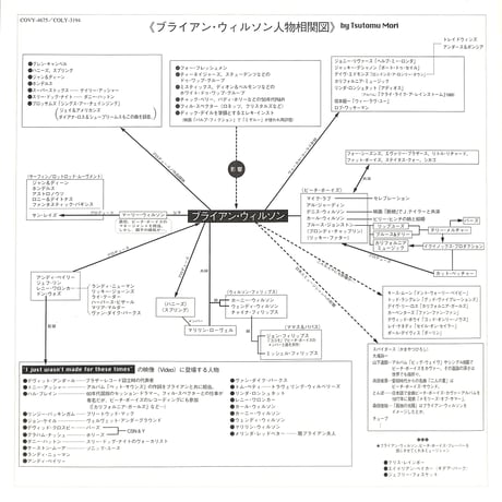 ブライアン・ウィルソン / ノット・メイド・ディーズ・タイムス [発売年:1995年][※品番:COLY-3194](Laser Disc)