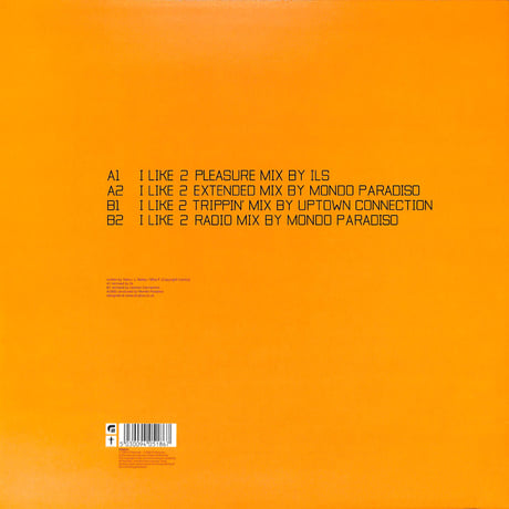 Yaiko / I Like 2 [※輸入盤,生産国:UK,品番:F2V2011］(LPレコード)