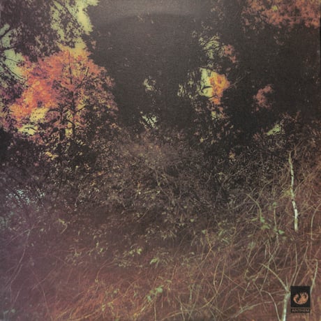 ディラーズ / Roots And Branches [※輸入盤,生産国:US,品番:ANS 5901］(LPレコード)