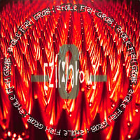 Stale Fish Grab / Zero［※国内盤,品番:SCHOOL-023］(7inchシングル)