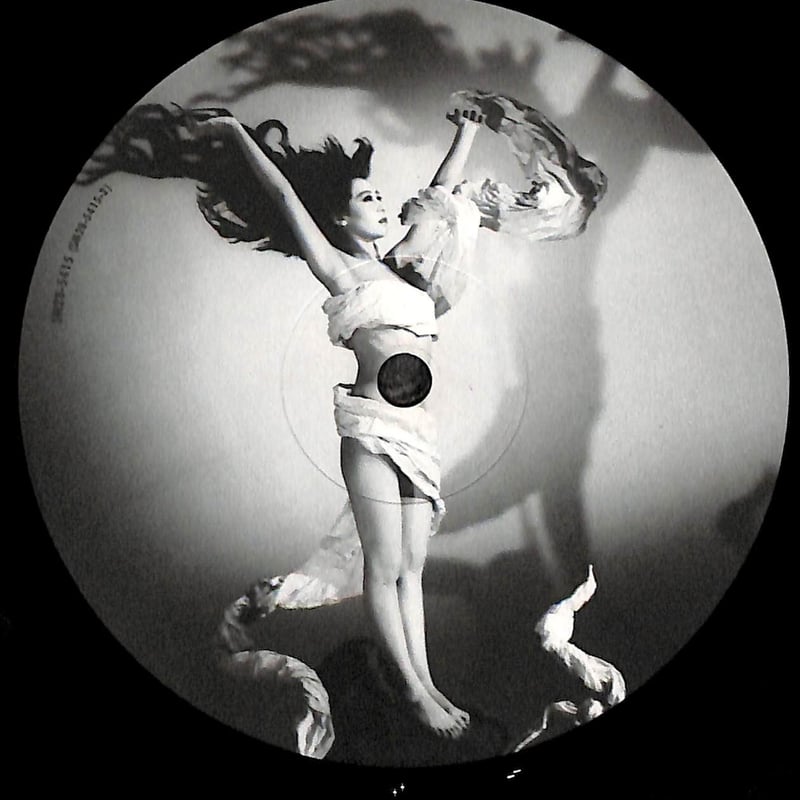 チーボー / Paradise Lost［※国内盤 品番:SM28-5415］［レンタルアップ