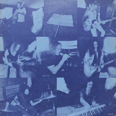 レーナード・スキナード / Nuthin' Fancy [※国内盤,品番:MCA-6073］(LPレコード)