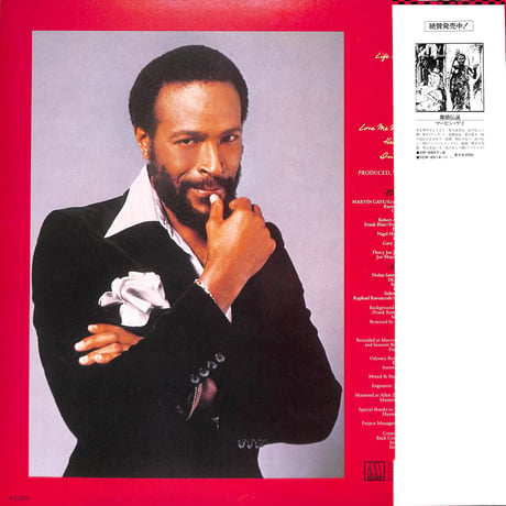 マービン・ゲイ / イン・アワ・ライフタイム [※国内盤,品番:VIP-6765］(LPレコード)