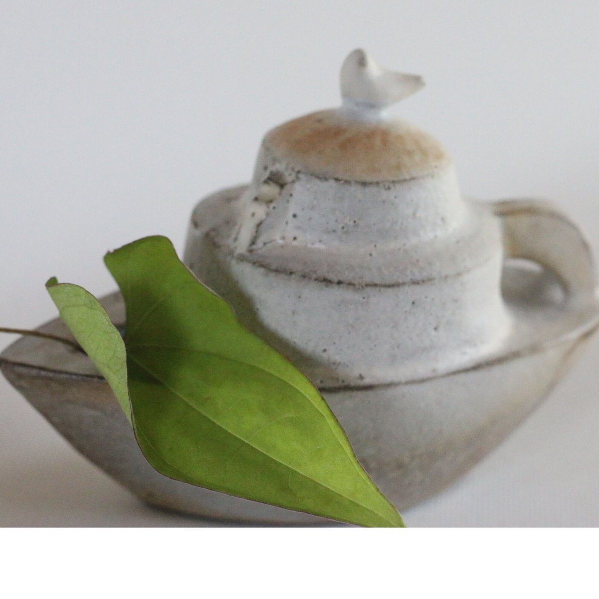 小さな旅人 ／ 萩原朋子 | furacoco