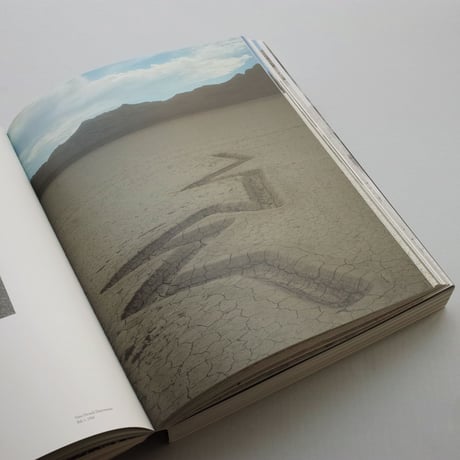 Michael Heizer