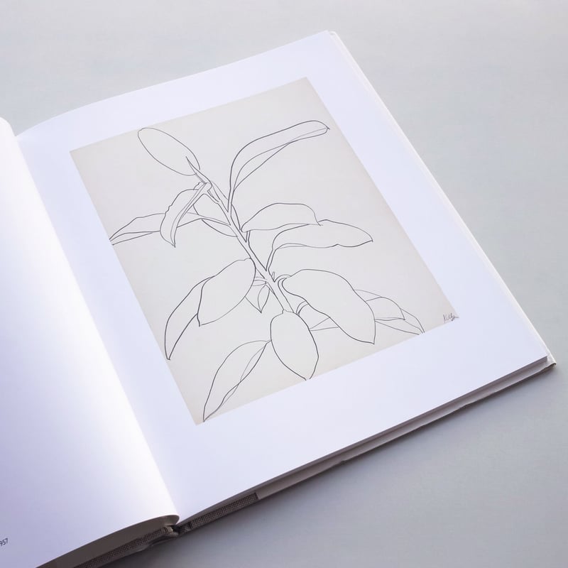 洋書 Plant Drawings - Ellsworth Kelly Amazon | Ellsworth Kelly: Plant Drawings | Semff, Michael