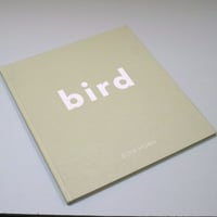 Jenny Holzer / Protect Me From What I Want Wood