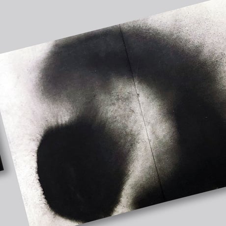 Anish Kapoor (Éditions Dilecta)