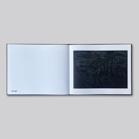 Sterling Ruby  / PAINTINGS