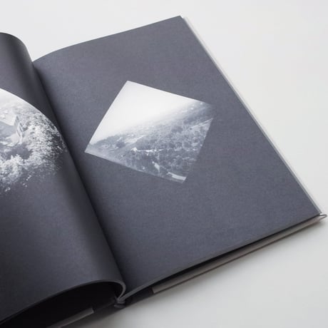 Nicolò Degiorgis & Audrey Salomon / The Pigeon Photographer