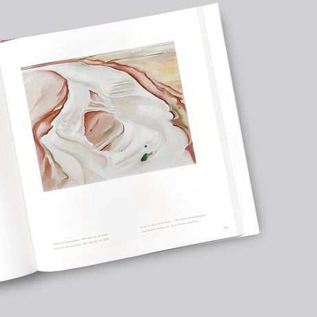 Lisa Volpe / Georgia O'Keeffe, Photographer
