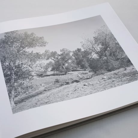 Robert Adams / From the Missouri West