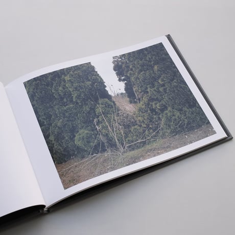 Ron Jude / Other Nature