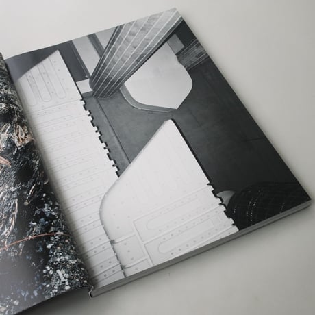 Taiyo Onorato, Nico Krebs / Continental Drift