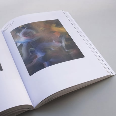 Gerhard Richter / Abstraktion