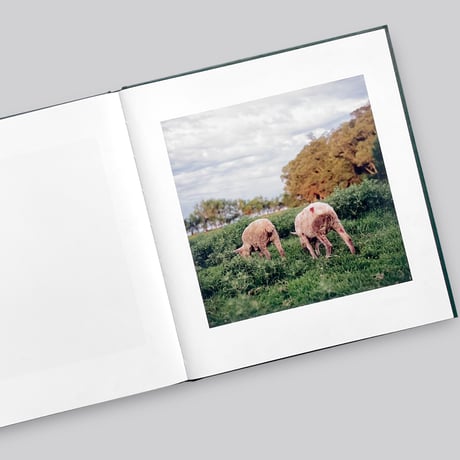 Alessandra Sanguinetti / ON THE SIXTH DAY[SIGNED]