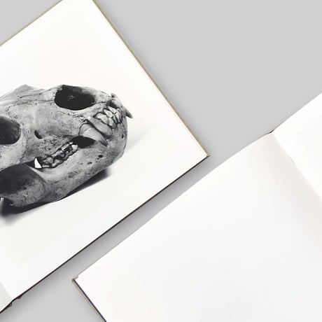 Irving Penn / Cranium Architecture