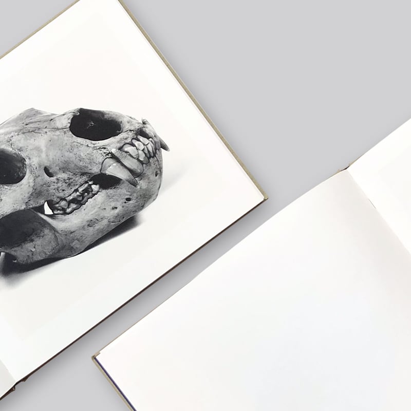 Irving Penn / Cranium Architecture | POST