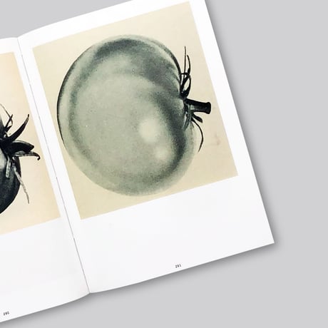Ruth van Beek / The Oldest Thing