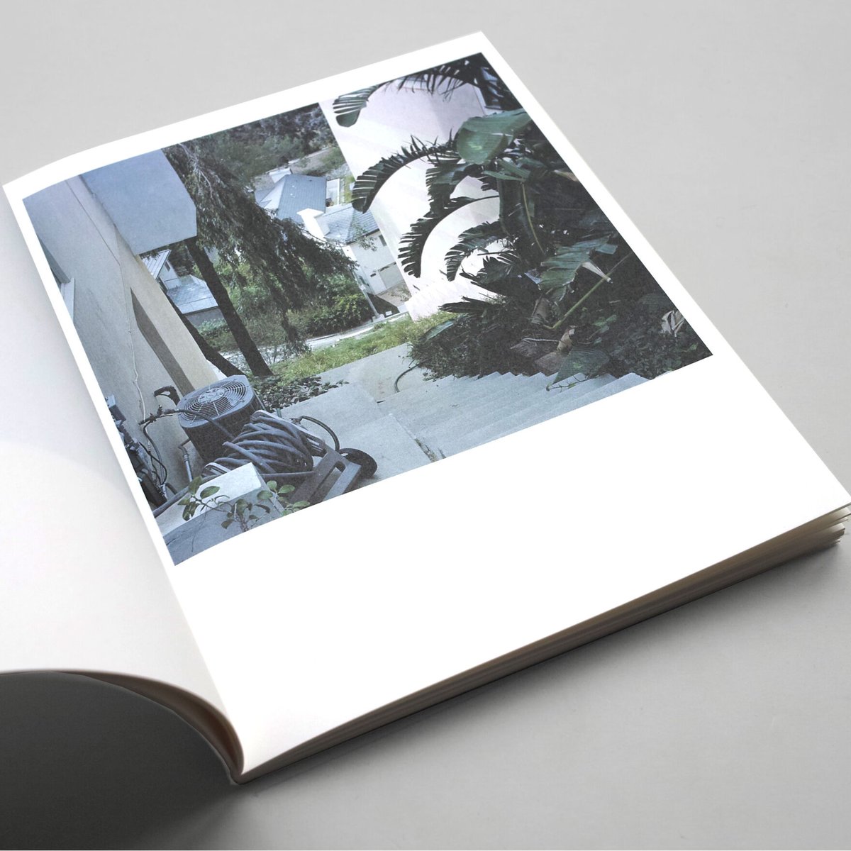 Takashi Homma / VARIOUS SHAPED HOSES AND SNAKE