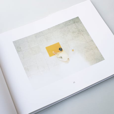 Wolfgang Laib / Edition Cantz, Stuttgart