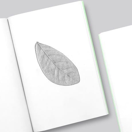 Jamie Yeo / Plant Scans