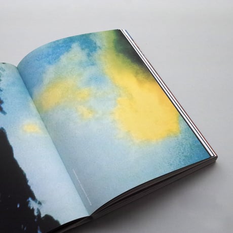 Pipilotti Rist / Elixir