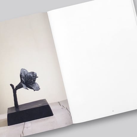 Herma de Wit / Sculptures and Drawings