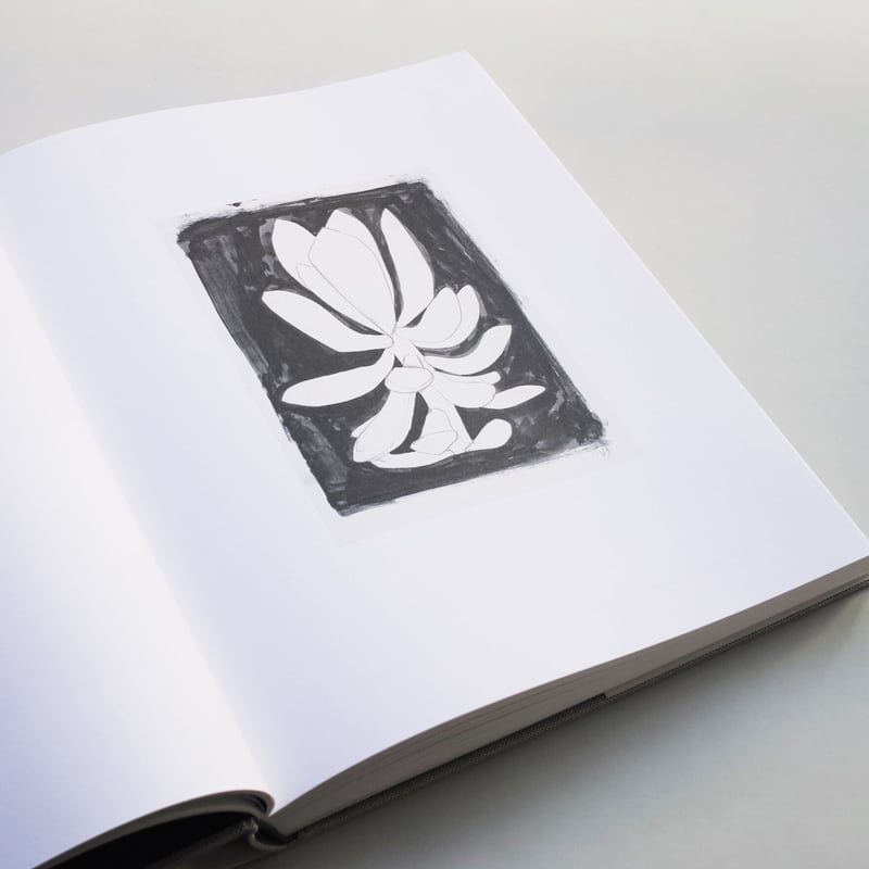 Ellsworth Kelly / Plant Drawings | POST
