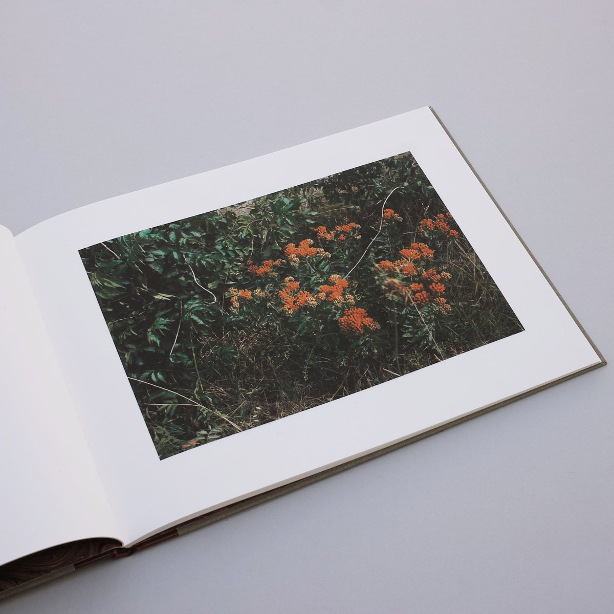 【William Eggleston ：Flowers 】★★未開封新品・美本 fit=scale-down,w=1200