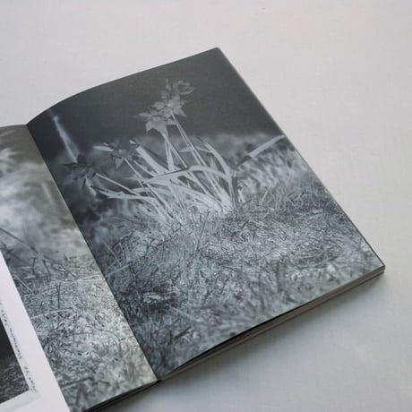 Rein Jelle Terpstra / Dark Dunes