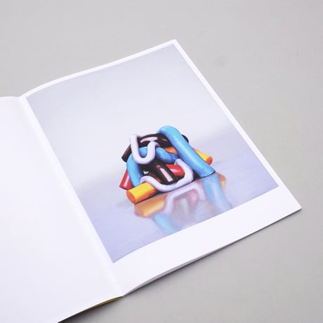 Michiel van der Zanden / Color Works, Solids and Models