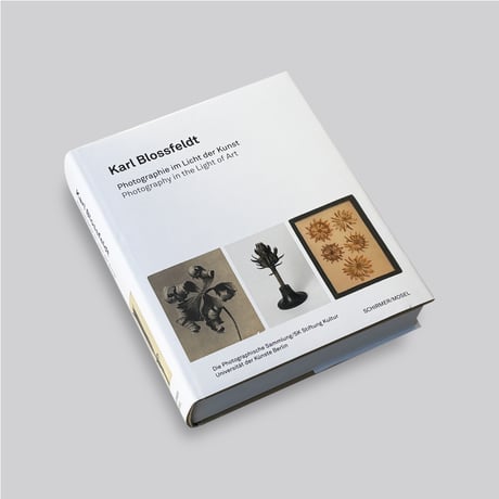 Karl Blossfeldt / Photography in the Light of Art