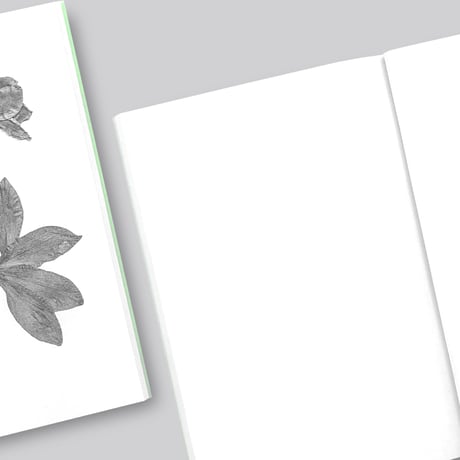 Jamie Yeo / Plant Scans