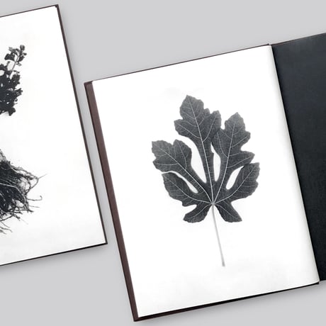 Sachiko Morita / Time in Air, Time in Paper