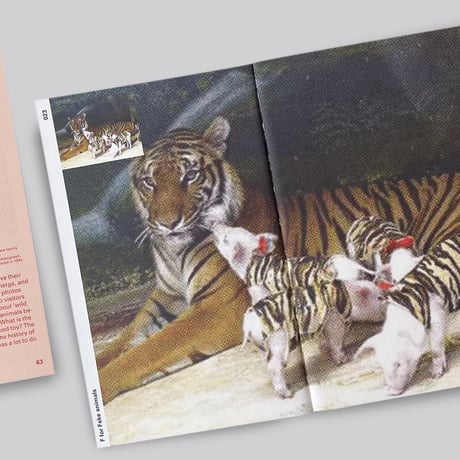 Zoo Index - Reader (volume 1)